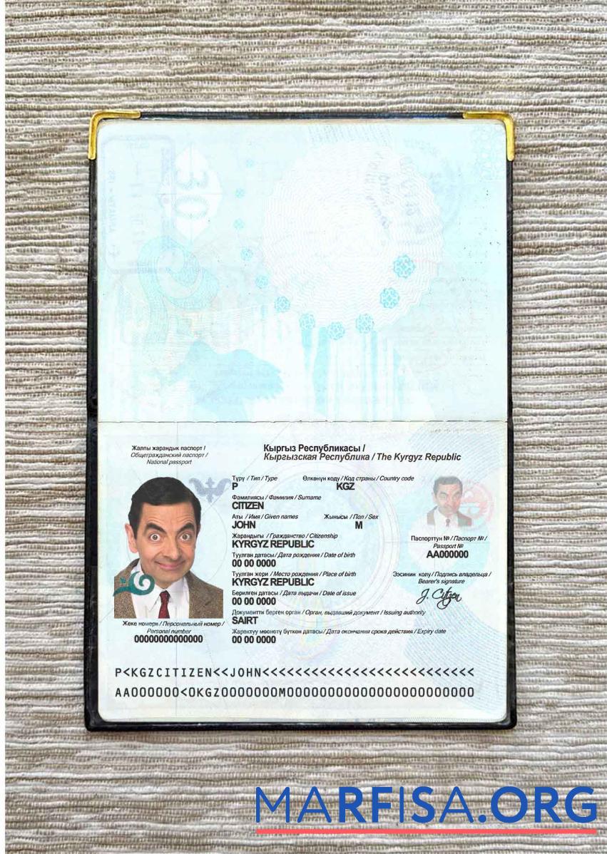 Printable Kyrgyzstan passport photo look download for verification